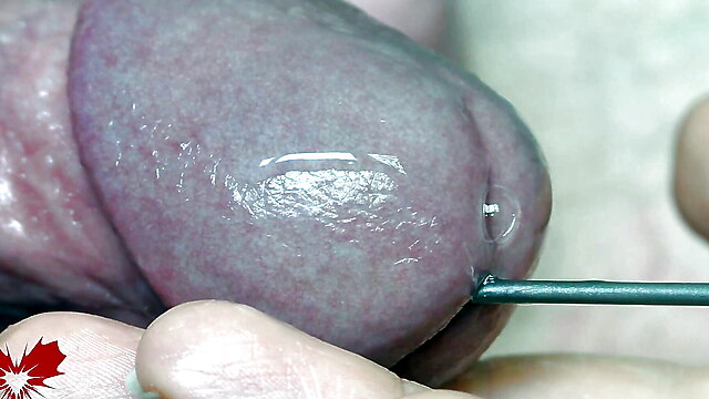 Sex stimulation, amateur urethra, amateur sex doctor, private home, sounding man urethral
