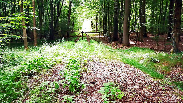 Tit slap torture, torture pussy slaps, violent in forest, public tit slapping, domination girls nude
